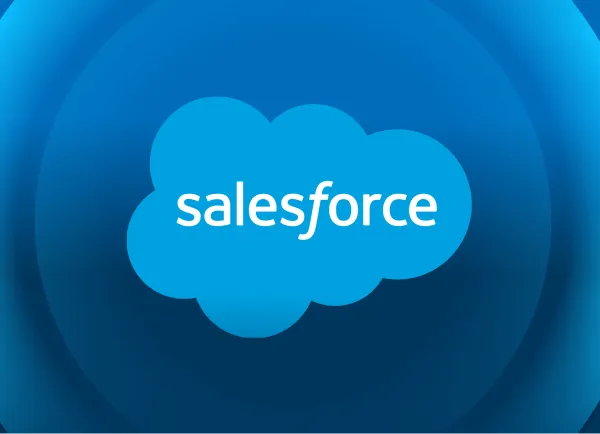 Salesforce Partner
